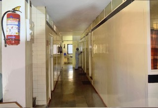 IMG_1026